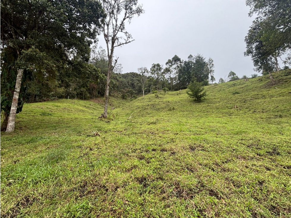 Lote en venta en Cabeceras Entorno natural y privacidad total — foto 2