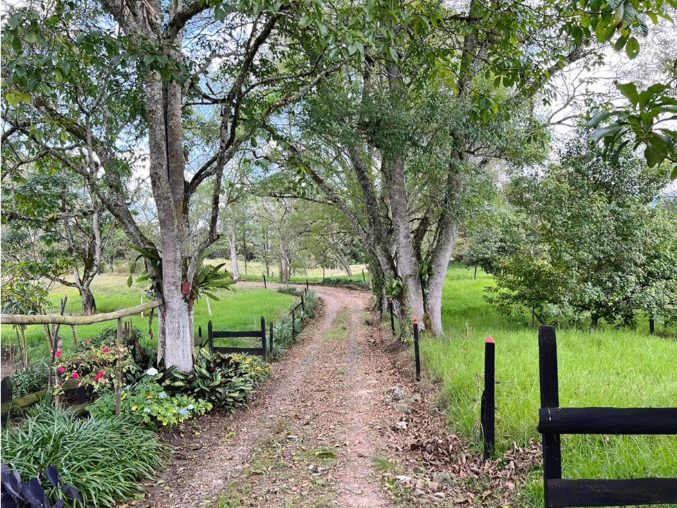 Venta finca en doble calzada con agua propia y establo — foto 2