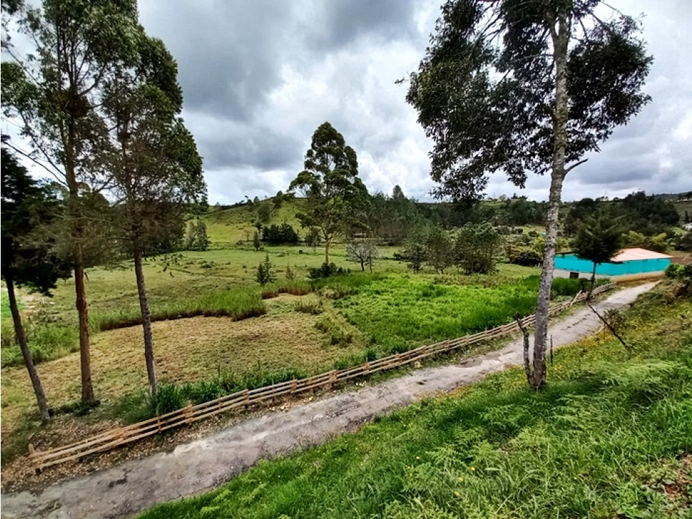 Finca agropecuaria de 6,4 ha con cultivo de aguacate en venta — foto 3