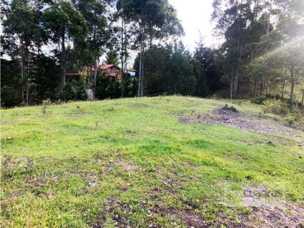 Venta lote en Sajonia cerca al aeropuerto en conjunto de 4 lotes — foto 4