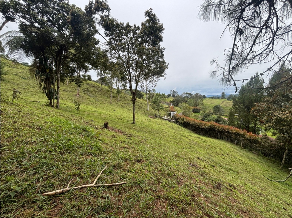 Lote en venta en Cabeceras Entorno natural y privacidad total — foto 4