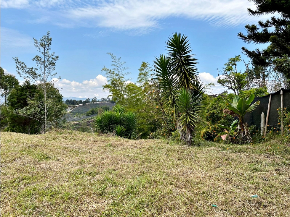 LOTE CON 7750 M2 INDEPENDIENTE EN RIONEGRO