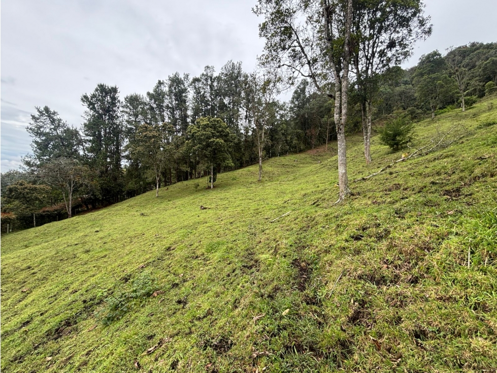 Lote en venta en Cabeceras Entorno natural y privacidad total