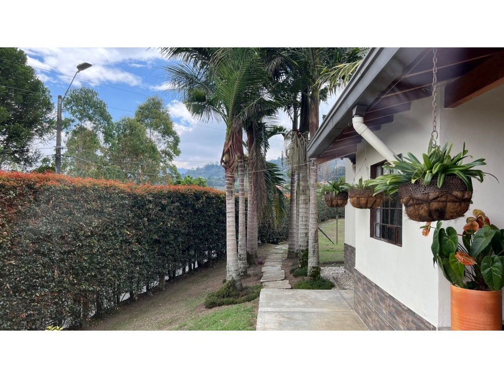 Casa finca con 10.900 m2 cerca al aeropuerto Jose Maria cordoba — foto 6