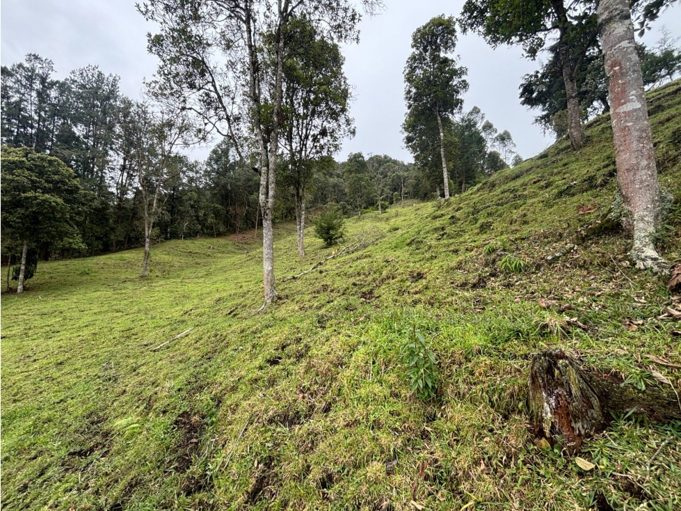 Lote en venta en Cabeceras Entorno natural y privacidad total — foto 5