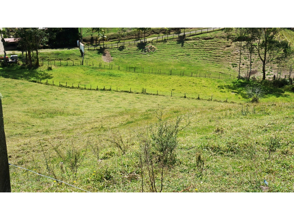 LOTE EN RIONEGRO DE 11.161M2