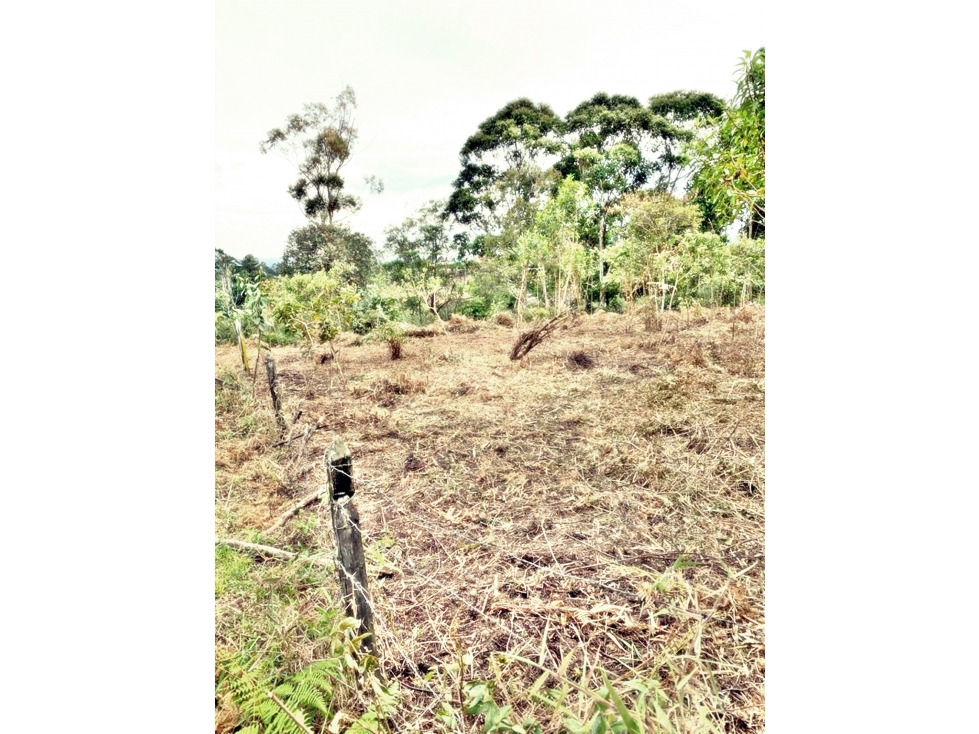 LOTE EN VEREDA LOS PINOS