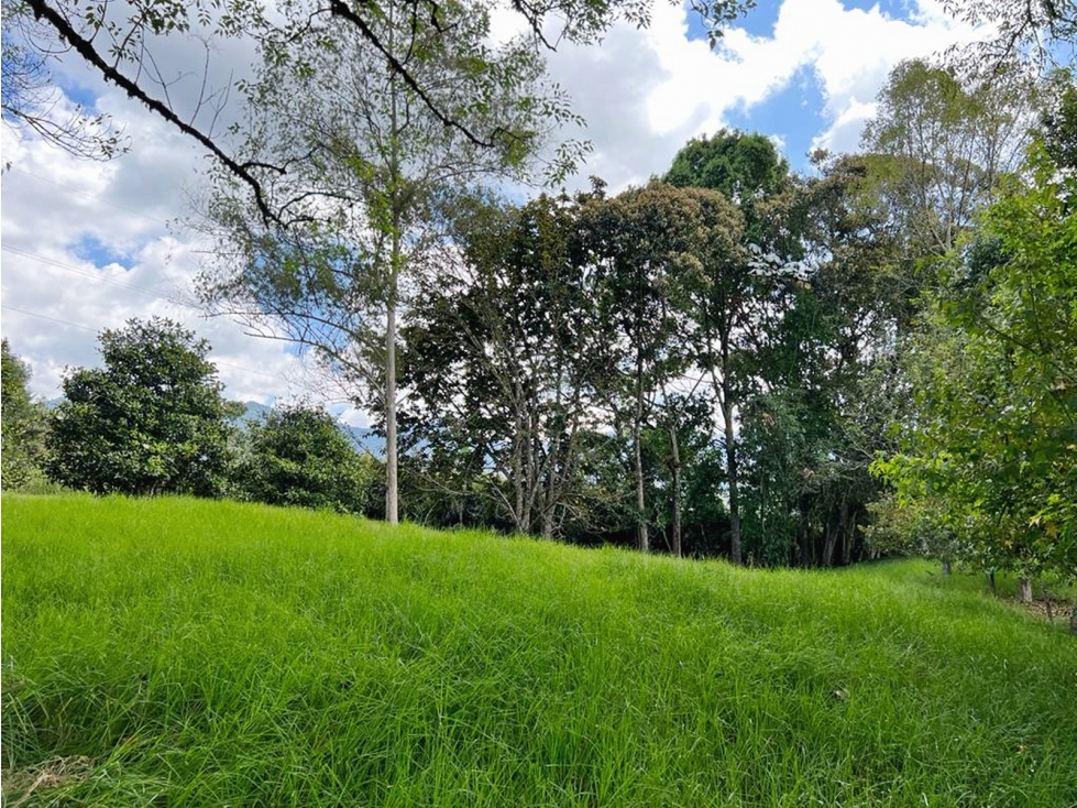Venta finca en doble calzada con agua propia y establo — foto 4