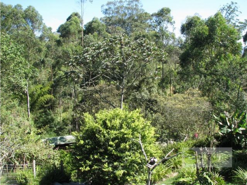 Venta casa campestre en Rionegro sector Caucanas con uso comercial — foto 4