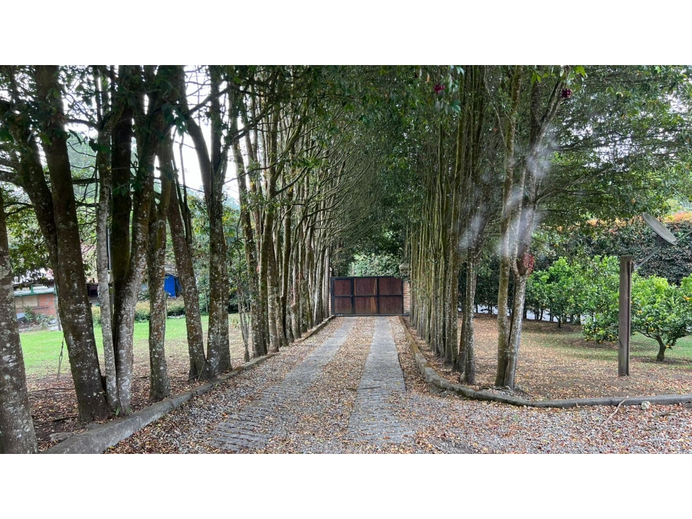 Casa finca con 10.900 m2 cerca al aeropuerto Jose Maria cordoba — foto 3