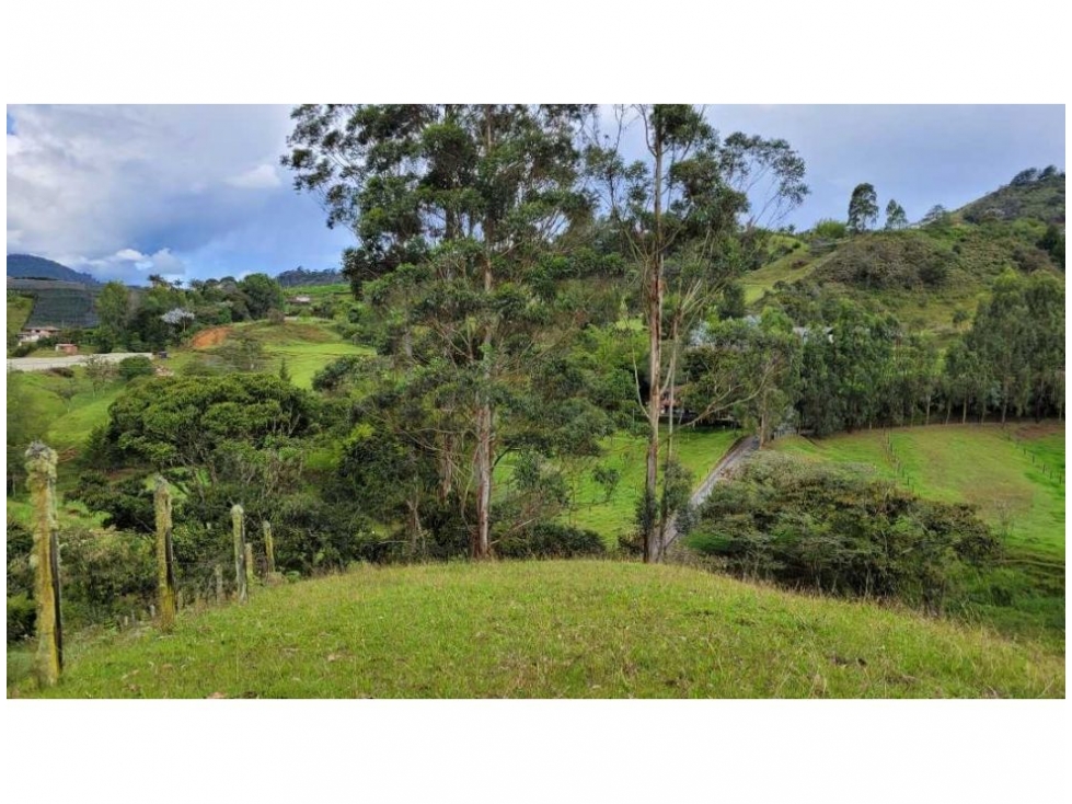 Venta finca en Higuerón Rionegro con 3 matrículas y vista 360 — foto 6