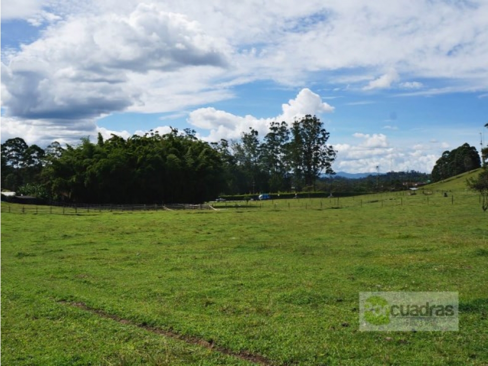 Venta Lote Uso mixto + 21,7 hectáreas + El Carmen sobre vía principal. — foto 2