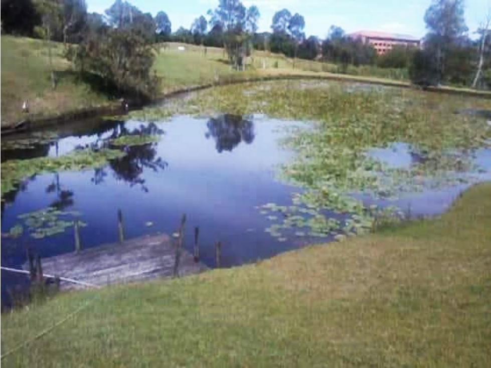 Venta lote con casa campestre en El Tablazo para desarrollo — foto 3