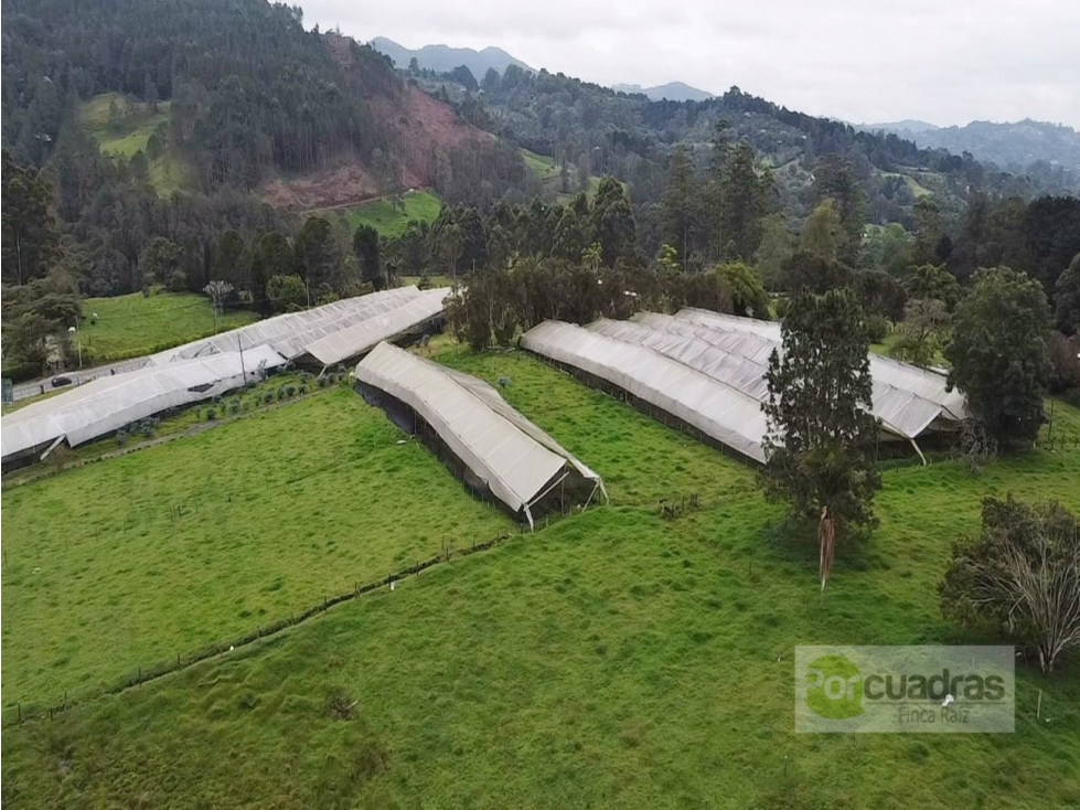 Venta | Terreno 52.400 m² en Llanogrande ideal para inversionistas — foto 6