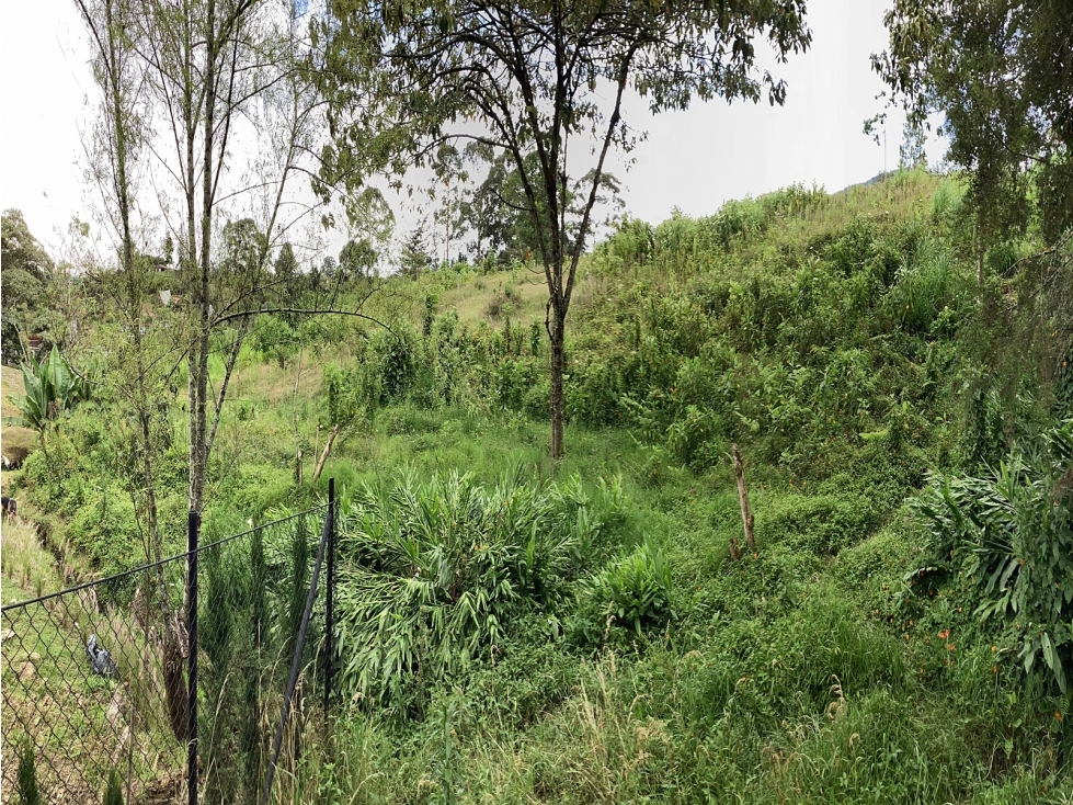 Venta lote de uso mixto en El Carmen de Viboral — foto 2