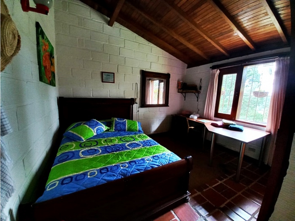 Finca agropecuaria de 6,4 ha con cultivo de aguacate en venta — foto 6
