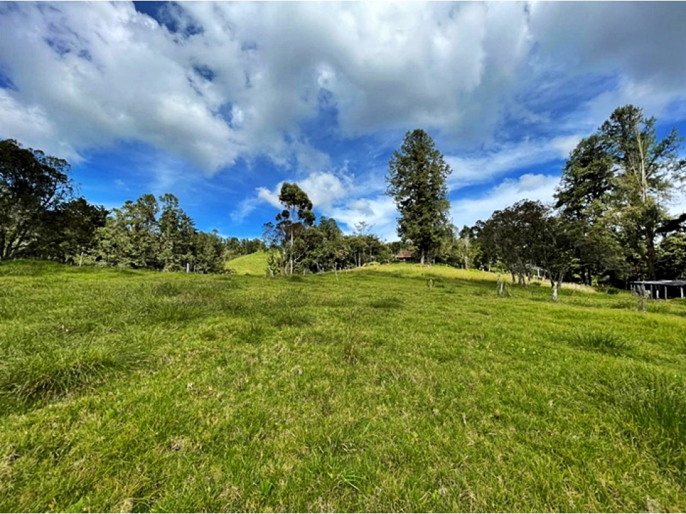 Venta lote 30.000 m² Envigado, ubicación estratégica Las Palmas — foto 2