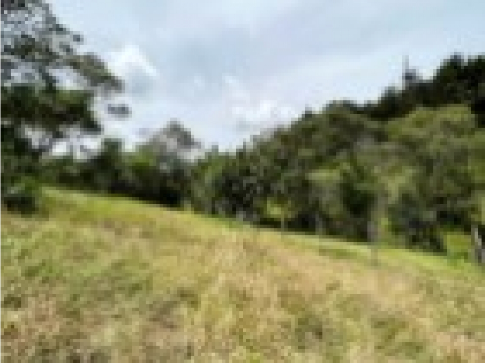 CASA CAMPESTRE EN GUARNE — foto 4