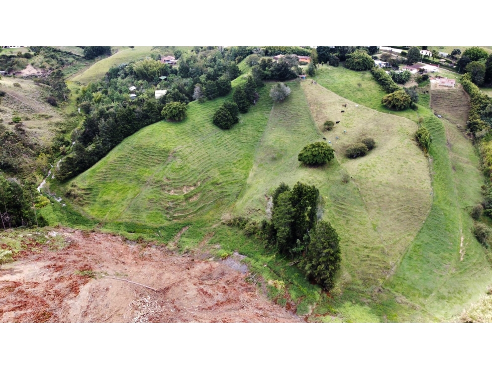 Venta casa campestre en Rionegro con lote agropecuario — foto 5