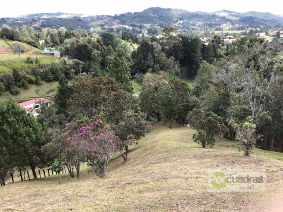 VENTA DE LOTE EN EL ALTO DE LAS PALMAS DE 3.887 M2 — foto 2