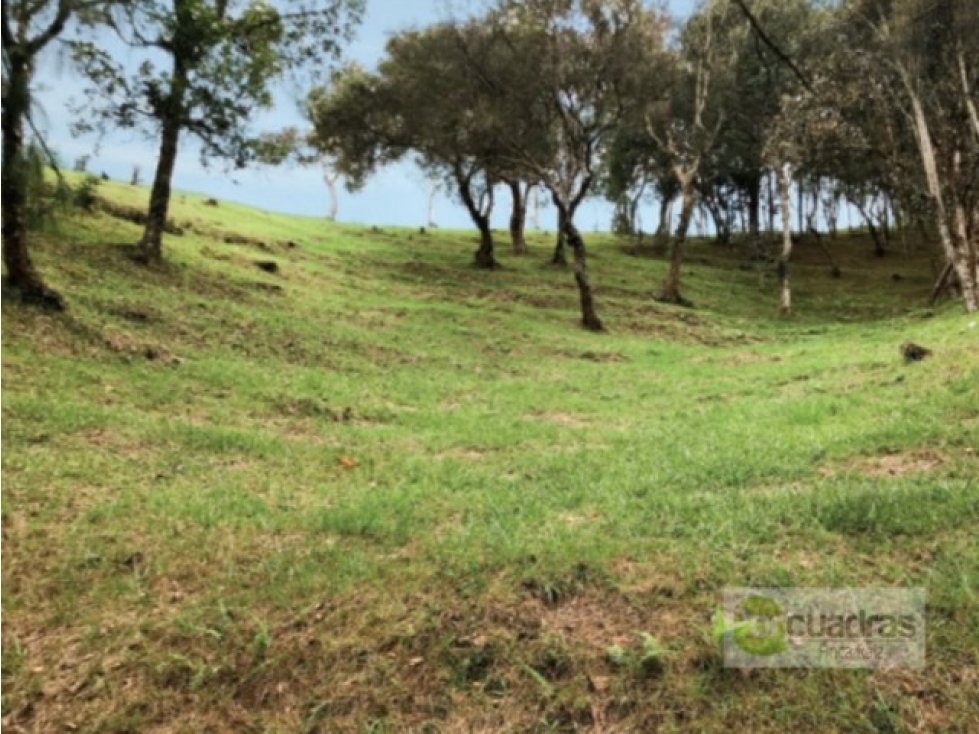 VENTA DE LOTE UBICADO EN EL ALTO DE LAS PALMAS DE 4.169 M2 — foto 2