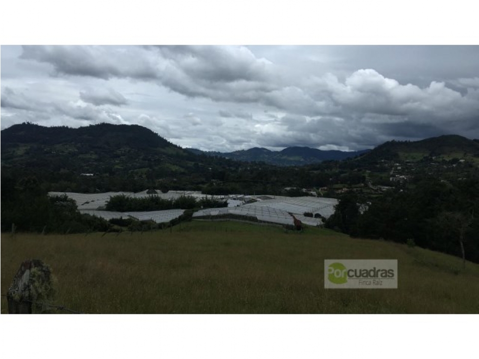 Venta lote en vía Llanogrande - La Ceja de 50.000 m² — foto 2