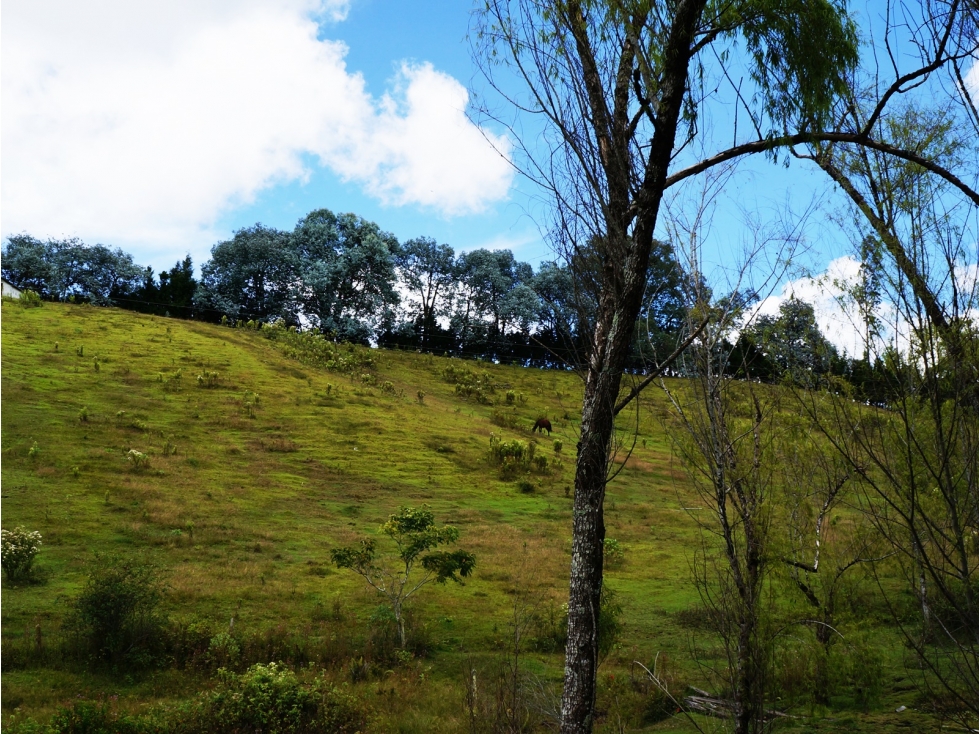 Venta lote vía Aeropuerto-Guarne para desarrollo — foto 2