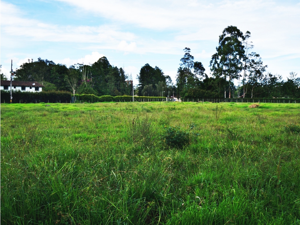 Venta lote en Llanogrande Rionegro de 7.500 m² cerca zona urbana — foto 2