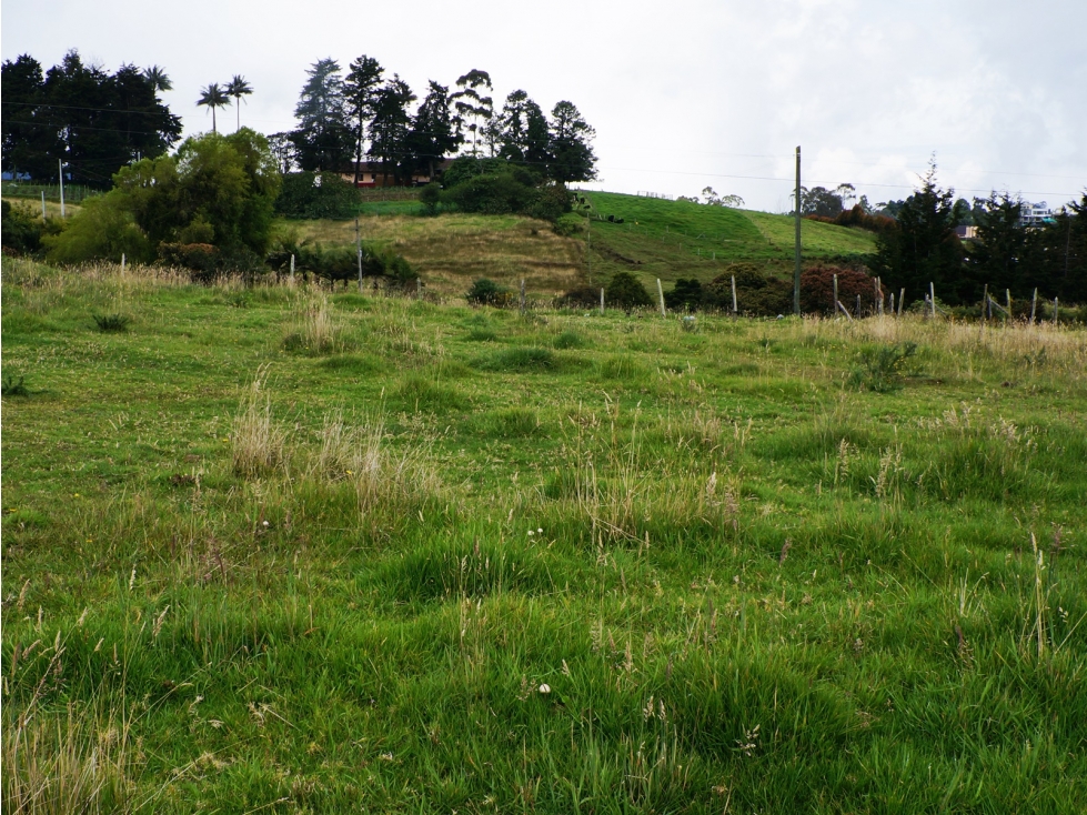 LOTE INDEPENDIENTE UBICADO EN LA VARIANTE DE PALMAS DE 3.500 M2 — foto 2