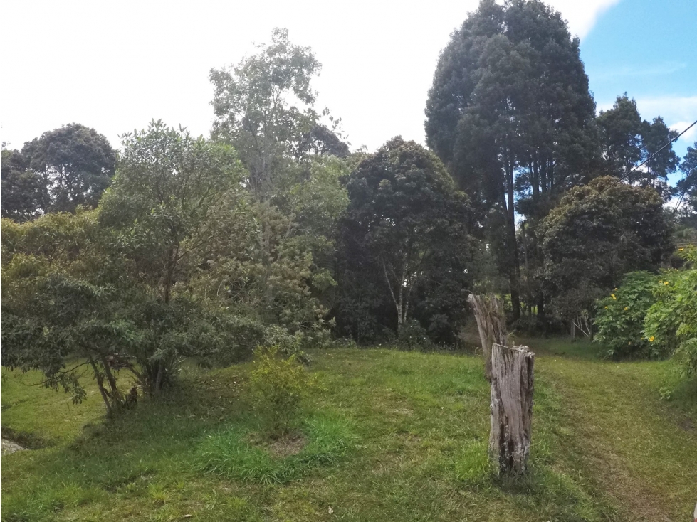 LOTE EN PARCELACION UBICADO POR LA VARIANTE LAS PALMAS DE 8.300M2 — foto 2