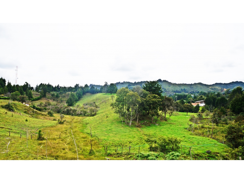 Venta de lote 32.000 m² con uso mixto en ubicación estratégica