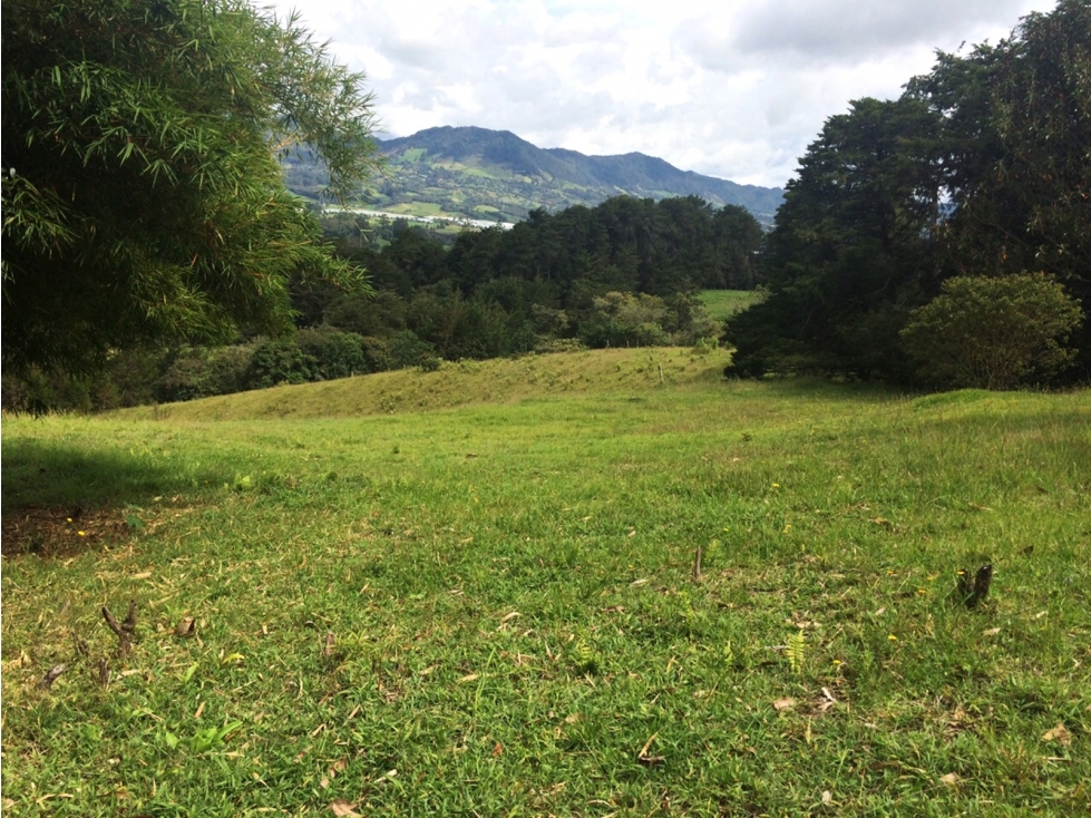 Venta lote en Rionegro vía San Antonio-La Ceja con 2 matrículas — foto 2