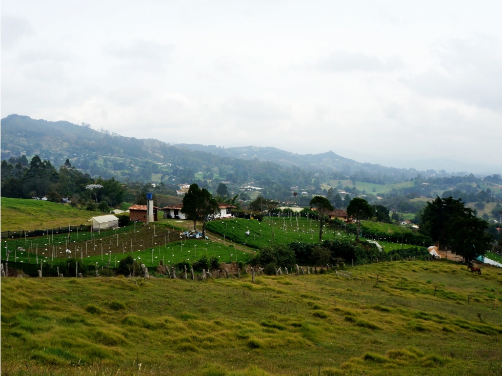 Venta lote en vía Llanogrande - La Ceja con 6 matrículas — foto 2