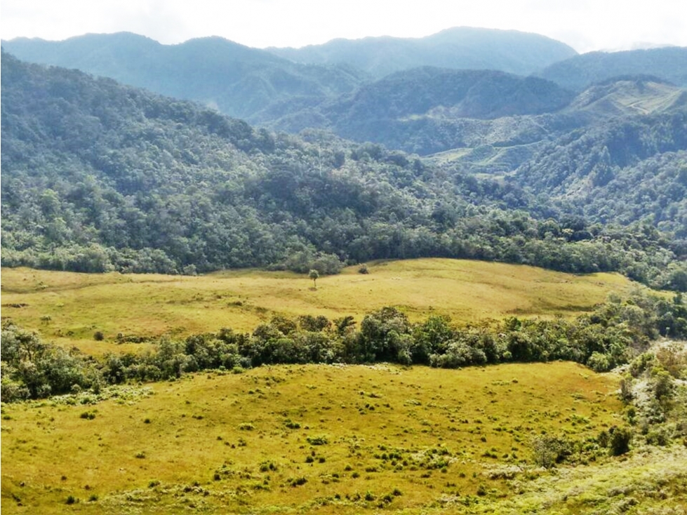 Venta | Lote agropecuario 47 hectáreas entre El Carmen y La Unión