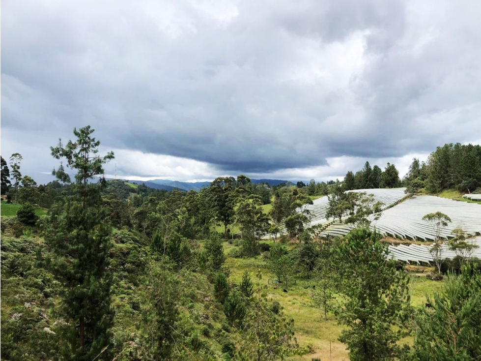 Lote campestre en venta en Pantanillo 6.200 m² con explanaciones — foto 2