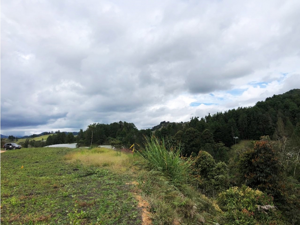 LOTE EN EL SECTOR DE PANTANILLO CON HERMOSA VISTA RODEADO DE BOSQUE — foto 2