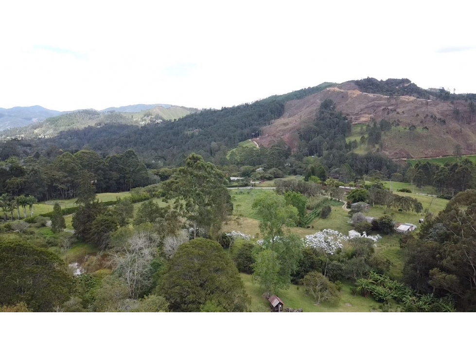 Lote independiete de 5.200 m2 por Eafit en llanogrande Rionegro — foto 3