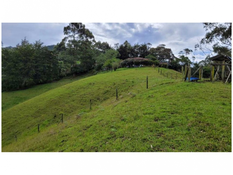 Venta finca en Higuerón Rionegro con 3 matrículas y vista 360 — foto 5