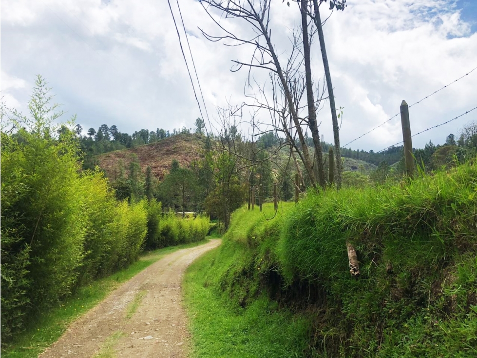Venta lote en vía Don Diego - La Ceja a borde de vía — foto 2