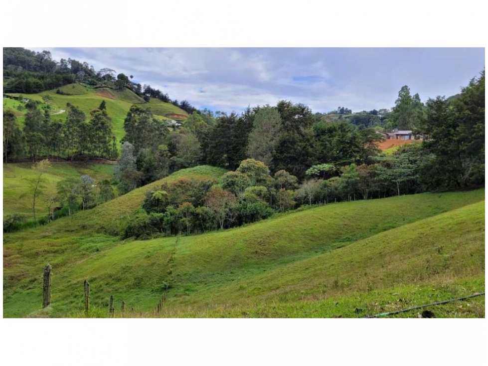 Venta finca en Higuerón Rionegro con 3 matrículas y vista 360