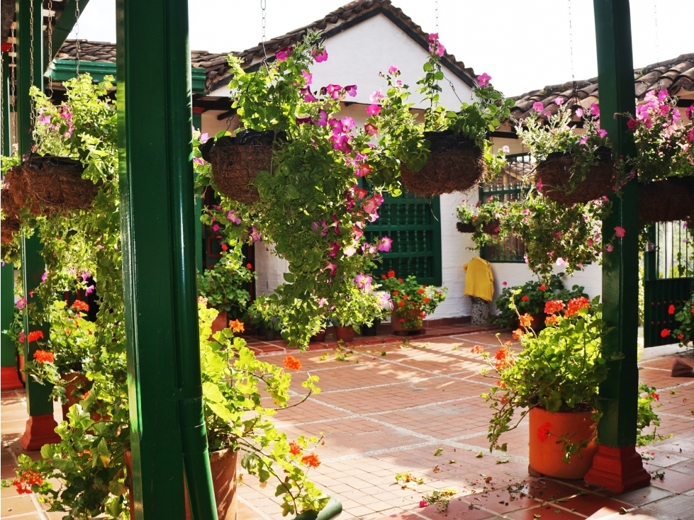 Casa típica Campestre 4 habitaciones vía Rionegro - El Carmen — foto 6
