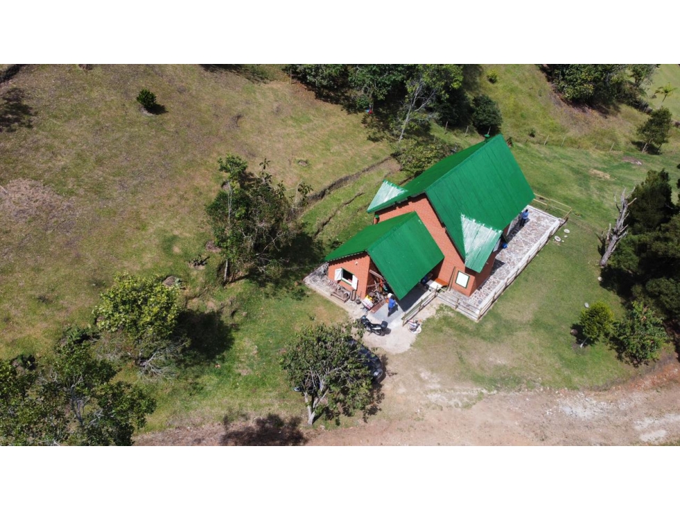 Venta lote 14.650 m² con lago y bosque en El Yarumo — foto 3
