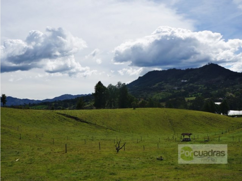 Venta Lote Uso mixto + 21,7 hectáreas + El Carmen sobre vía principal. — foto 3