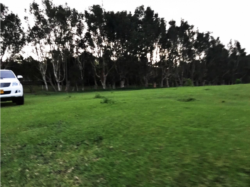 Venta lote con casa campestre en El Tablazo para desarrollo — foto 4