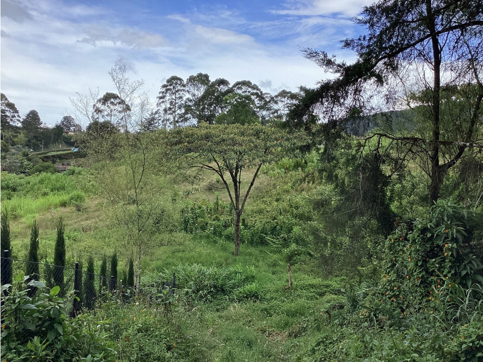 Venta lote de uso mixto en El Carmen de Viboral — foto 3