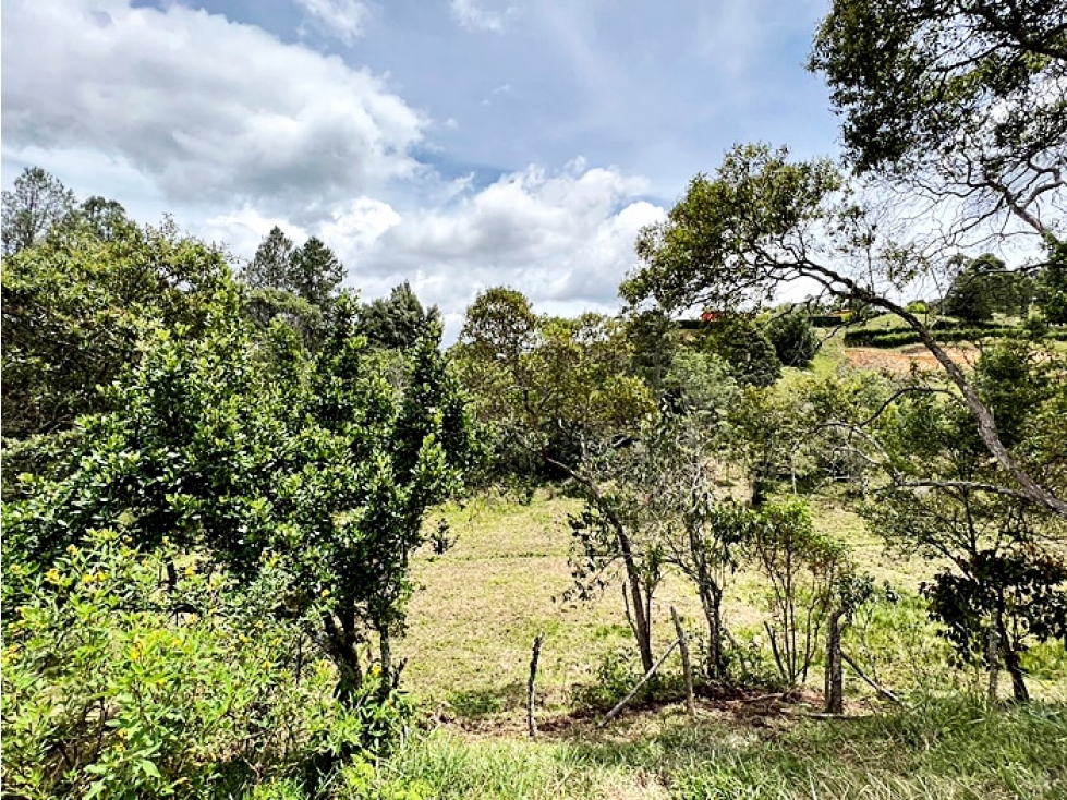 LOTE EN GUARNE — foto 3