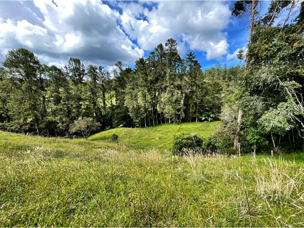 Venta lote 30.000 m² Envigado, ubicación estratégica Las Palmas — foto 3