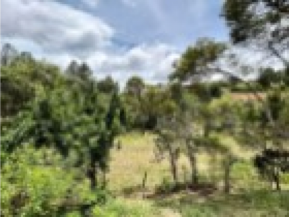 CASA CAMPESTRE EN GUARNE — foto 5
