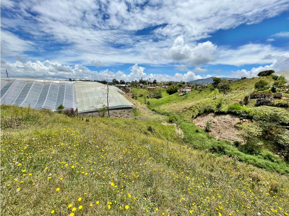 Venta lote en vía Rionegro - El Carmen con nacimientos de agua — foto 4
