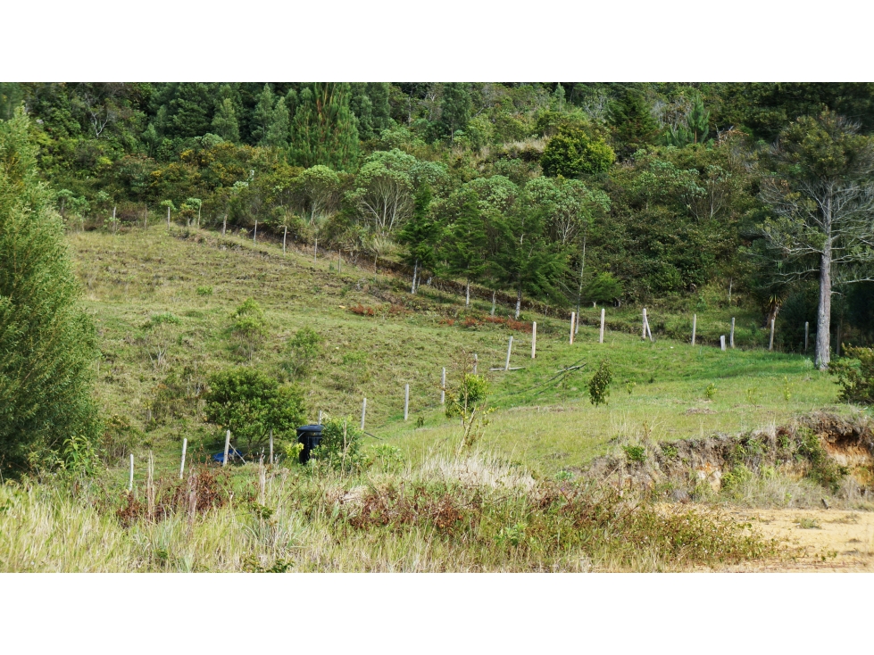 LOTE VIA SAN ANTONIO LA CEJA CON VISTAS DE 2.000 M2 — foto 3